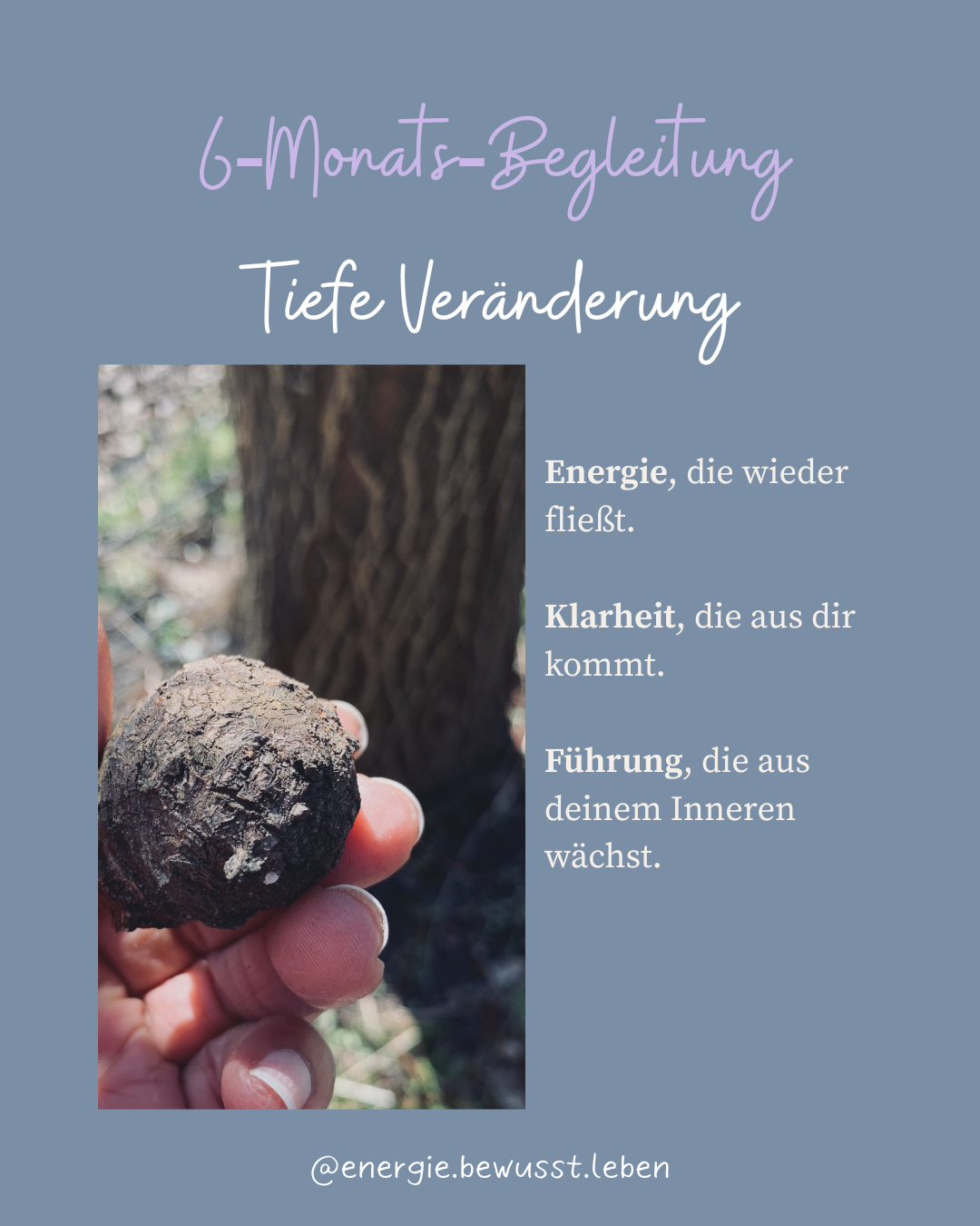 6‑Monats‑Begleitung – Tiefe Veränderung