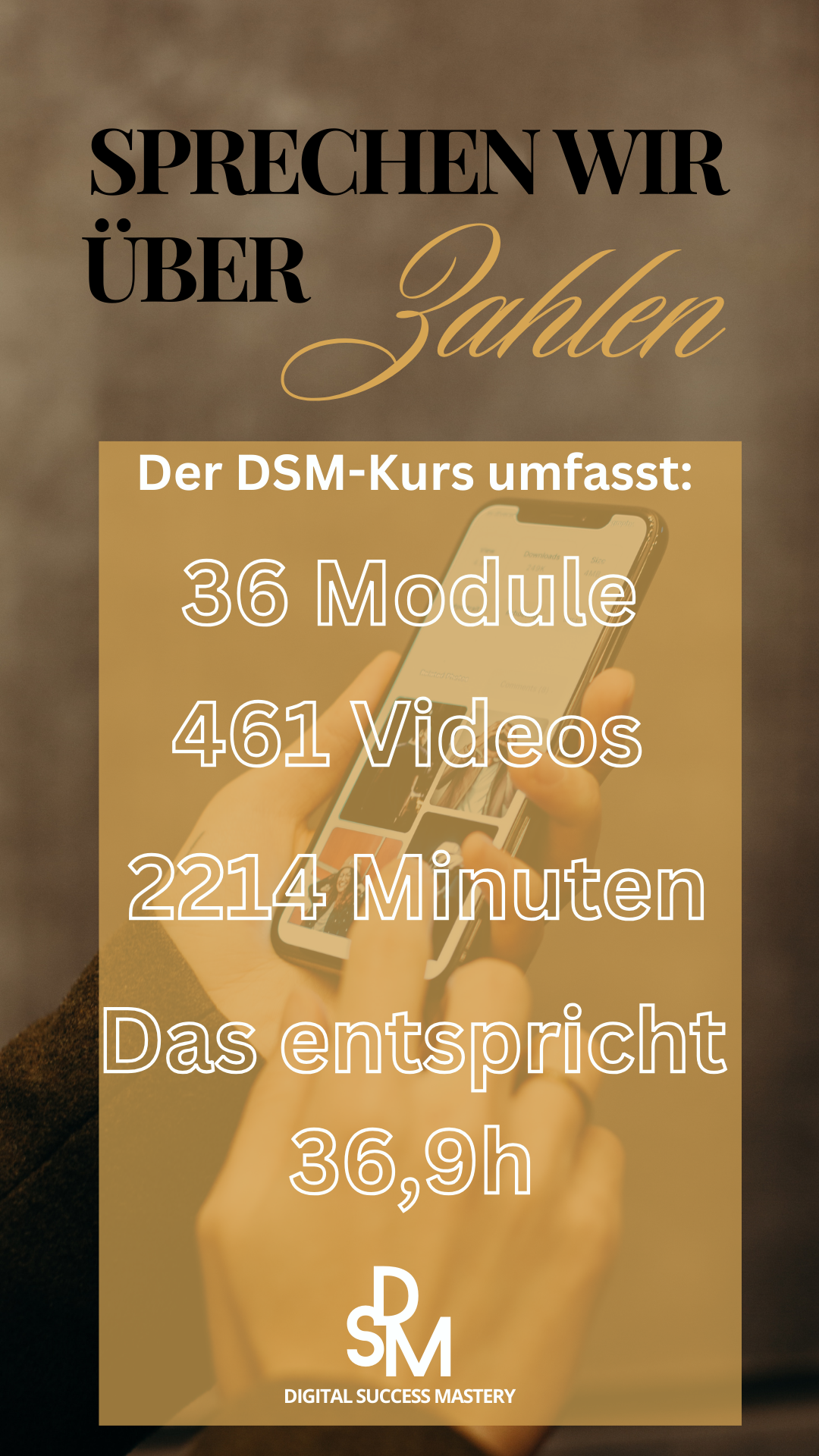 Fakten DSM Kurs