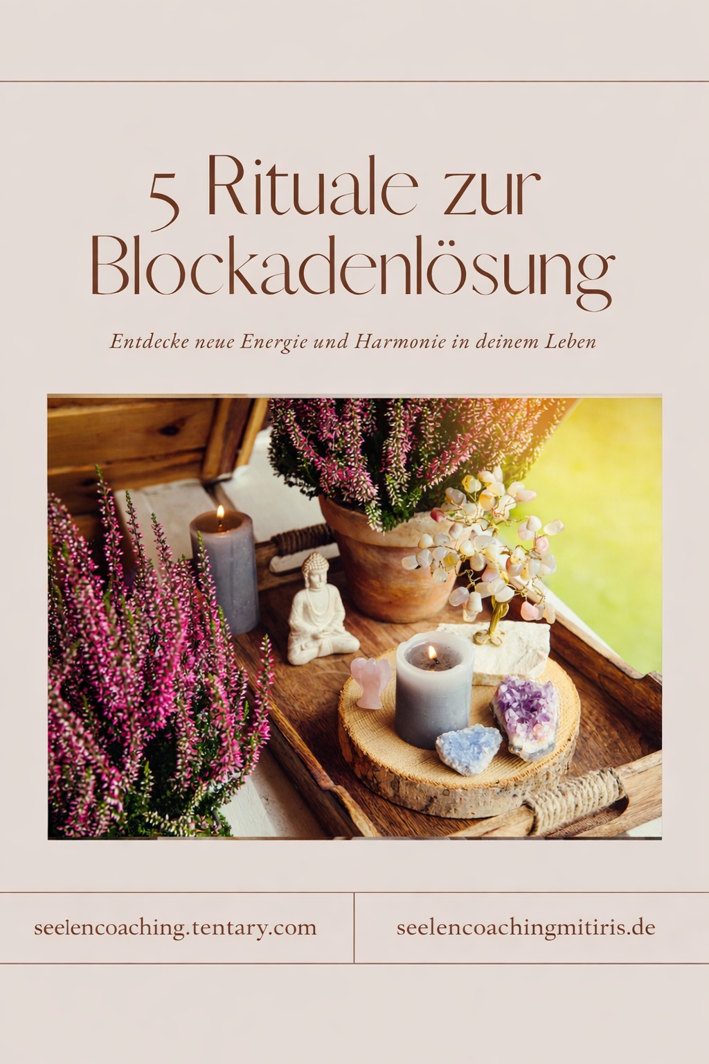 2e142d19-29f0-48d3-ab7e-0398cdfe9421_1480189029133872886-1773827077.png