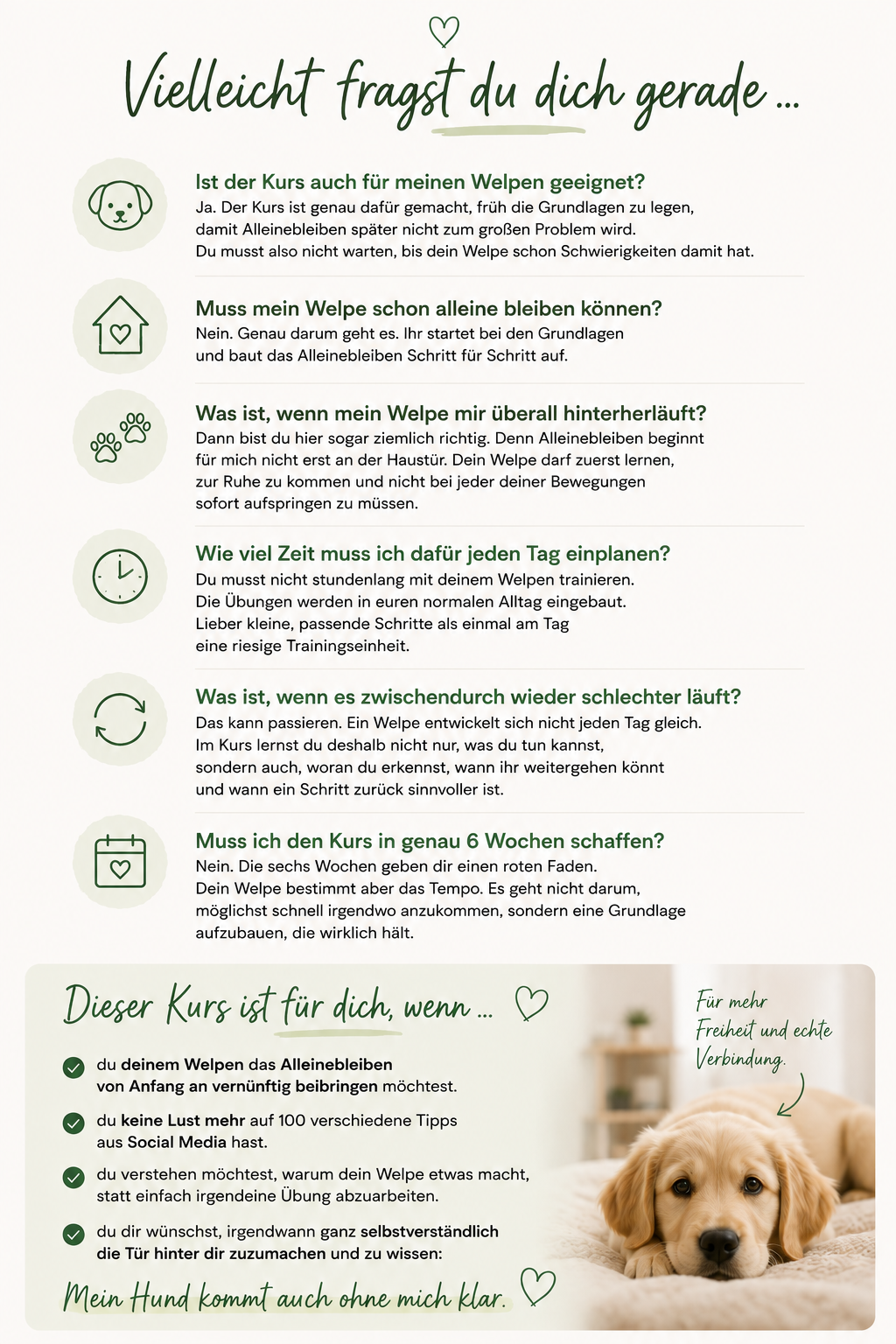 50acbdd1-b404-424c-8a17-740f0d51f64d_21236117601654106151-1788251286.png