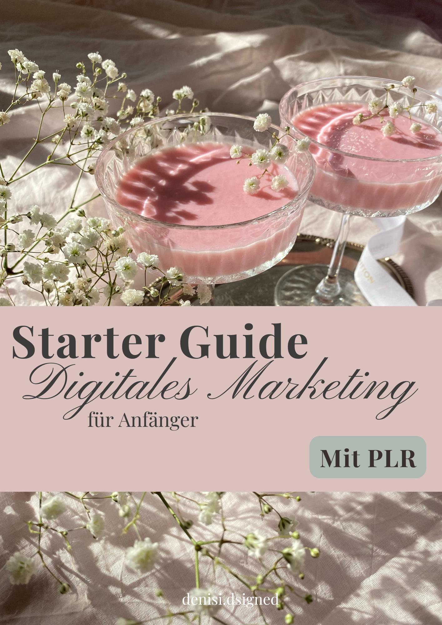 digitales-marketing-f--r-anf--nger-von-denisi_19264575032007986968-1782604974.png