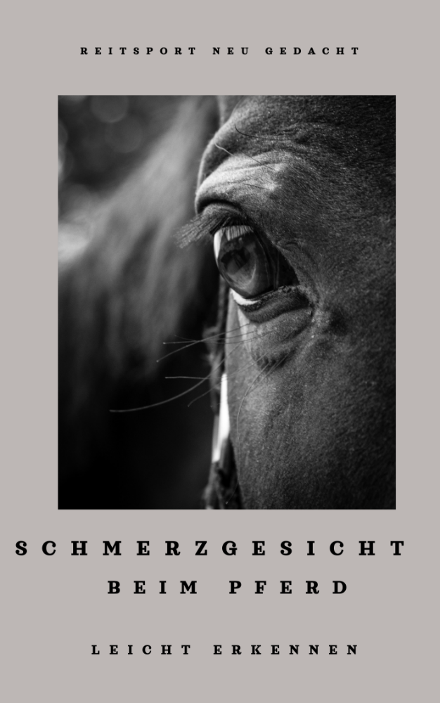 ebook_518816561136629084-1769273877.png