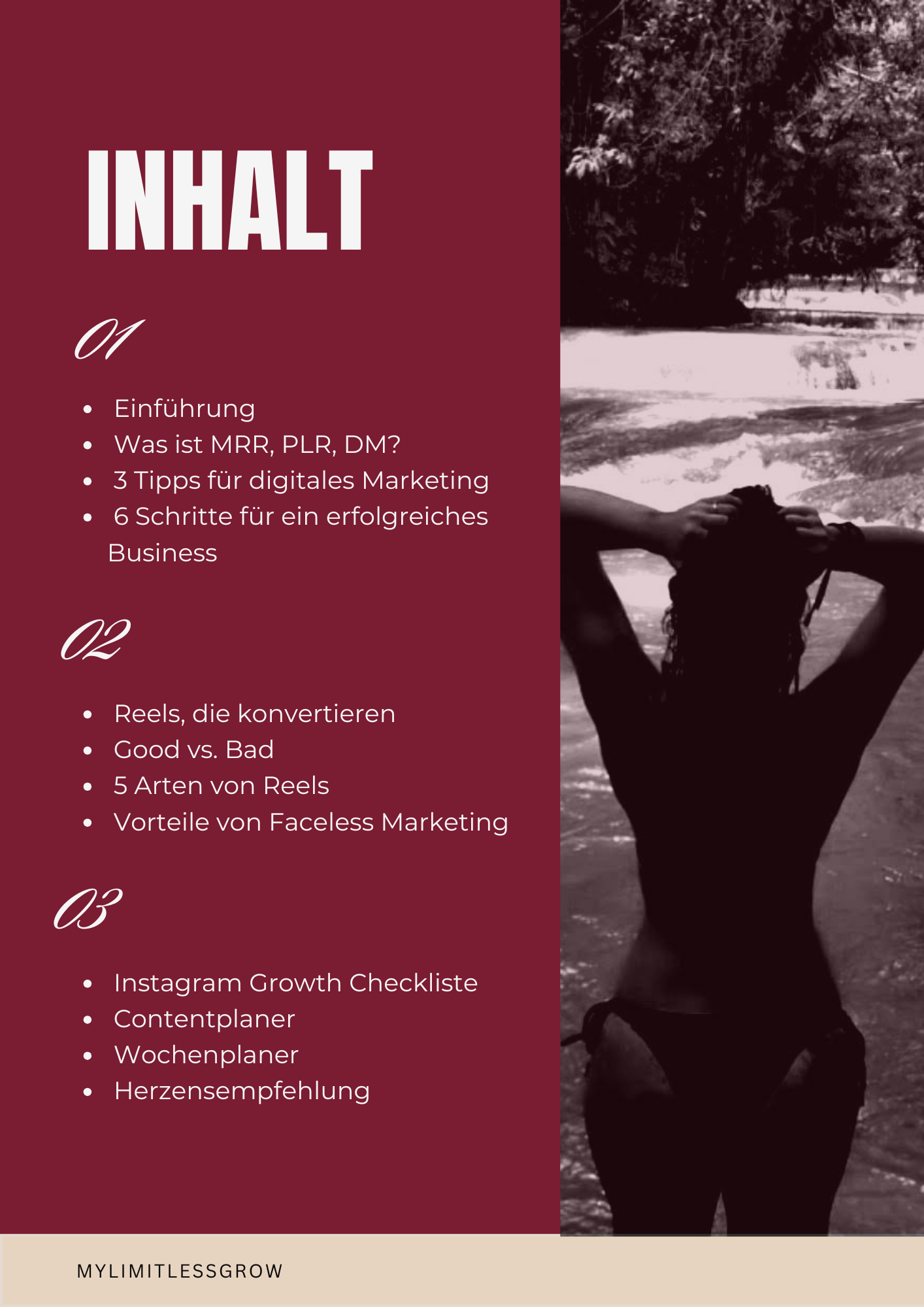 Inhaltsverzeichnis  facless marketing secrets