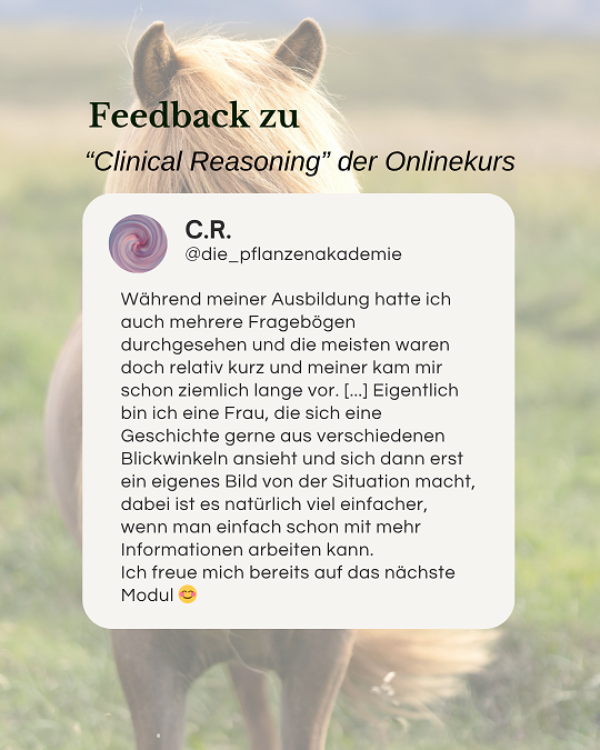 feedback_analyse_kurs_2v2-klein_4599959461141708843-1780502279.png
