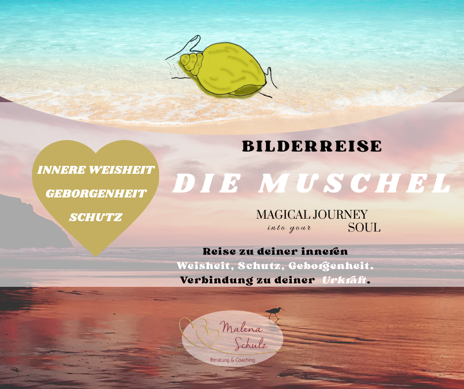 muschel-1_88636492421519736-1763978637.png