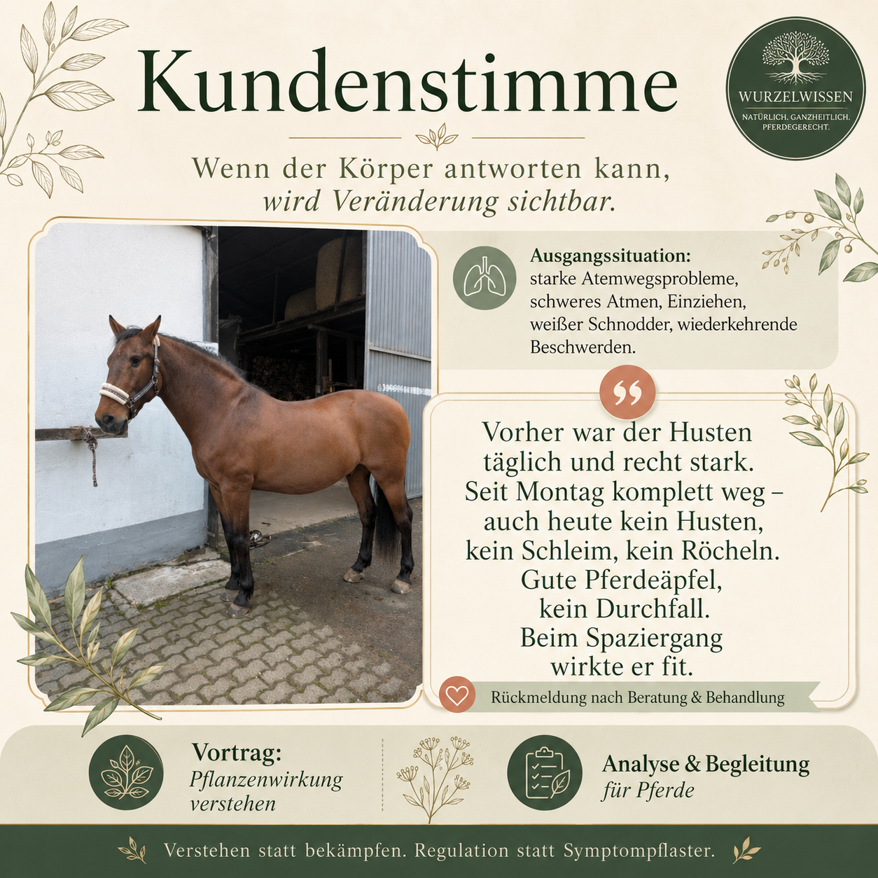 testimonial-beratung-und-behandlung_1890648329590610292-1780954413.png