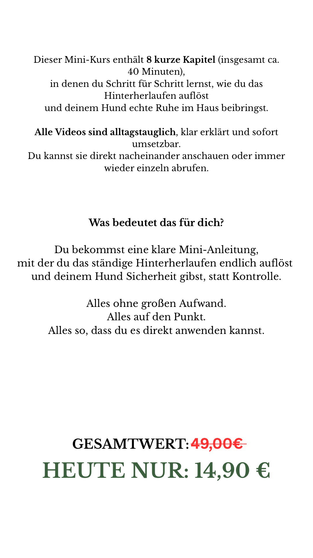 vom-kontrolletti-zum-ruhehund---3_16919305021568085152-1768765513.jpeg